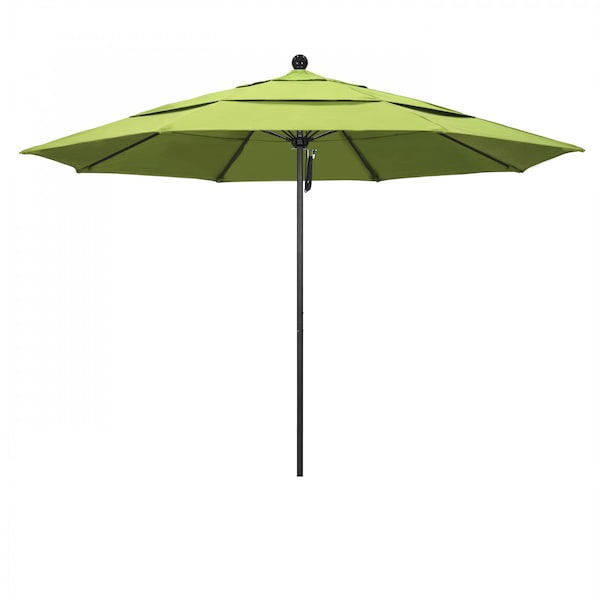 California Umbrella 11' Black Aluminum Market Patio Umbrella, Sunbrella Parrot 194061333242 - main